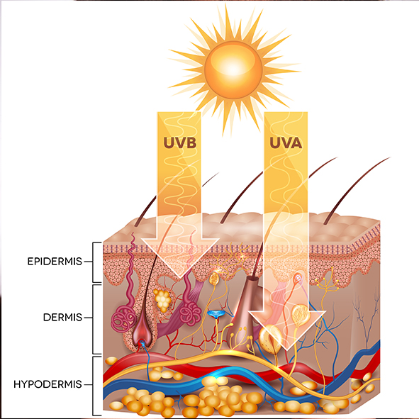 Mi történik a bőrünkkel a sugárzások hatására?